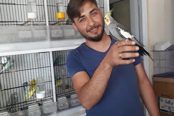 Yağız petshop akvaryum - Resim 19