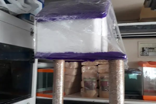 Yağız petshop akvaryum - Resim 6