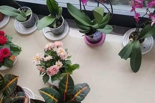 üstün çiçekçilik müzik davet düğün ve organizasyon - Resim 19
