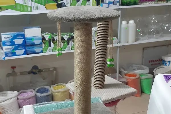 GEMLİK PET DÜNYASI - Resim 17