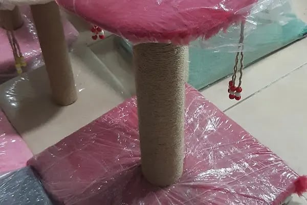 GEMLİK PET DÜNYASI - Resim 8