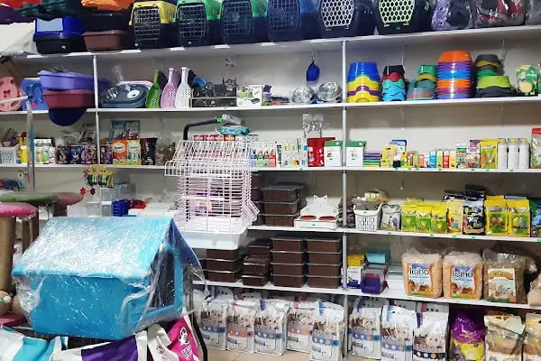 GEMLİK PET DÜNYASI - Resim 9