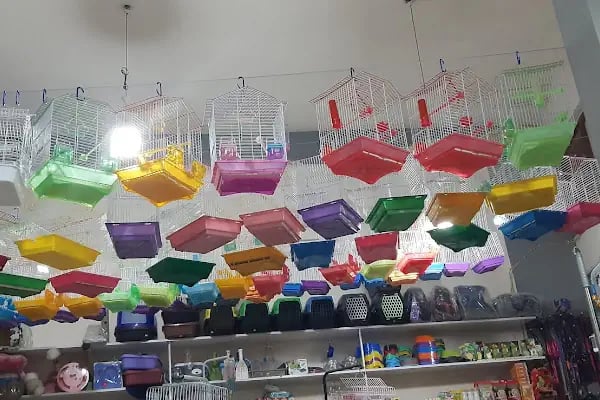 GEMLİK PET DÜNYASI - Resim 2