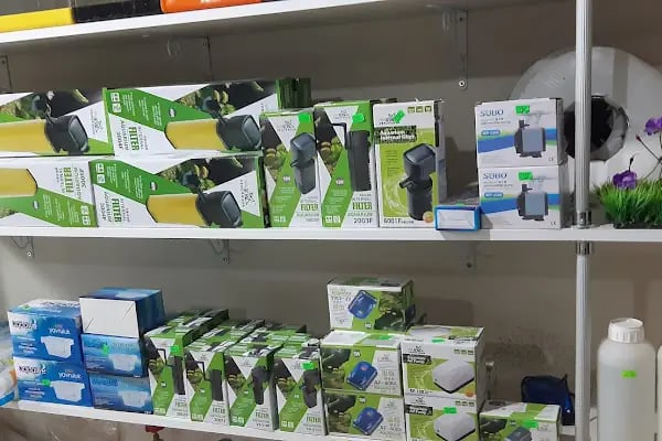 GEMLİK PET DÜNYASI - Resim 6