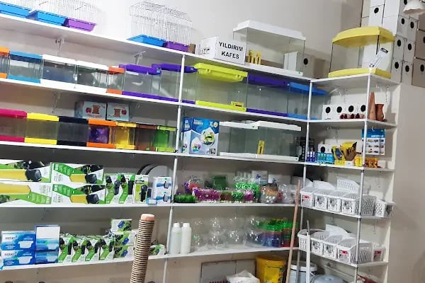 GEMLİK PET DÜNYASI - Resim 15