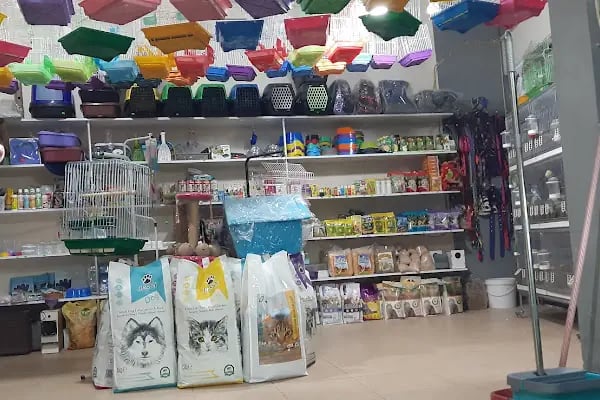 GEMLİK PET DÜNYASI - Resim 18