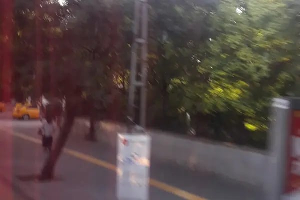 Ankara Üniversitesi Sağlık Bilimleri Enstitüsü - Resim 4