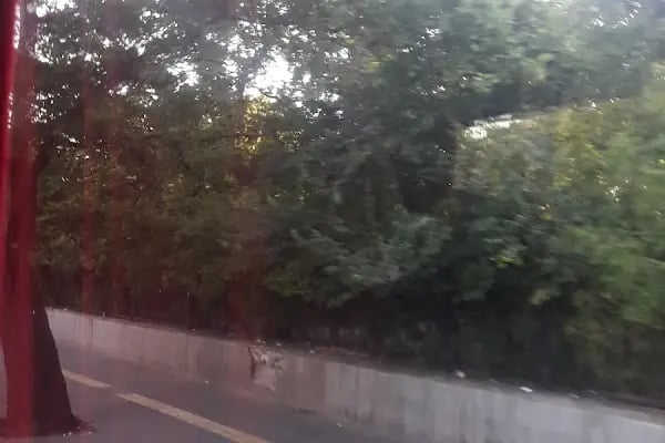 Ankara Üniversitesi Sağlık Bilimleri Enstitüsü - Resim 9