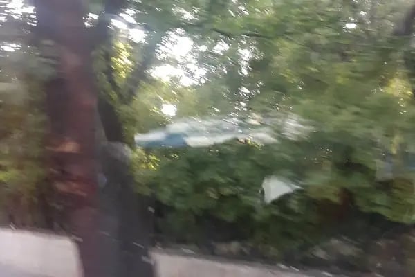 Ankara Üniversitesi Sağlık Bilimleri Enstitüsü - Resim 8
