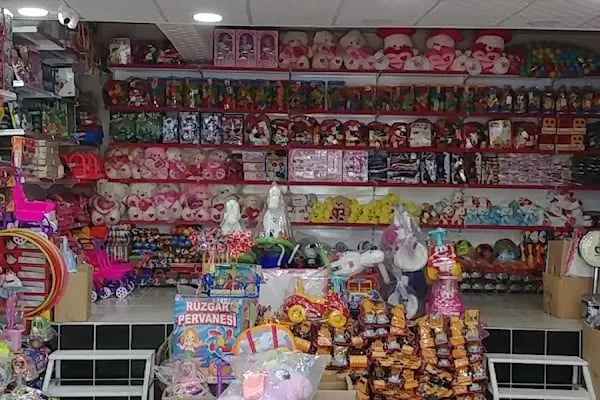 AKPINAR TİCARET OYINCAK DÜNYASI - Resim 2