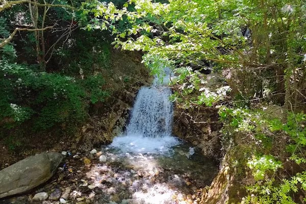 Balaban Yaldız Dağ Evi - Resim 18