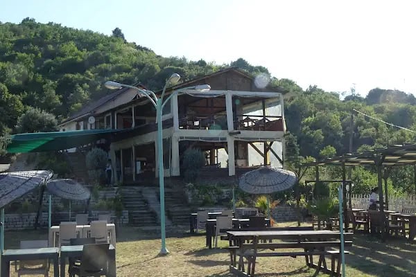 Doğa At Çiftliği - Resim 6