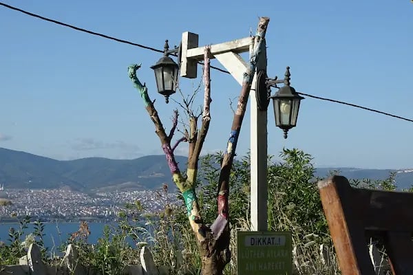 Doğa At Çiftliği - Resim 16