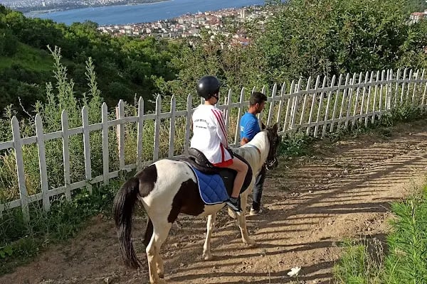 Doğa At Çiftliği - Resim 1