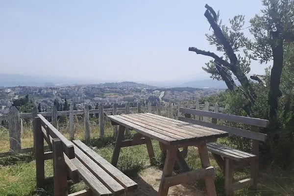 Doğa At Çiftliği - Resim 5