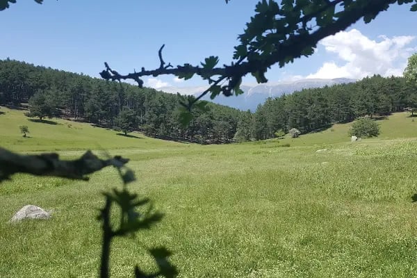 Kocayayla Bungalov Evleri - Resim 15