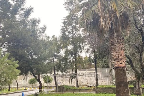 Dokuz Eylül Üniversitesi Dokuzçeşmeler Kampüsü - Resim 3