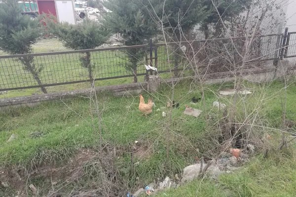 Vatan Self Servis Oto Yıkama - Resim 19
