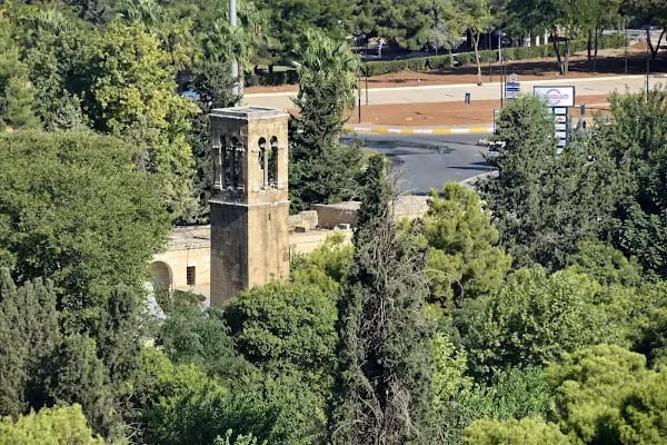 Ayn Zeliha Gölü Aile Çay Bahçesi - Resim 17