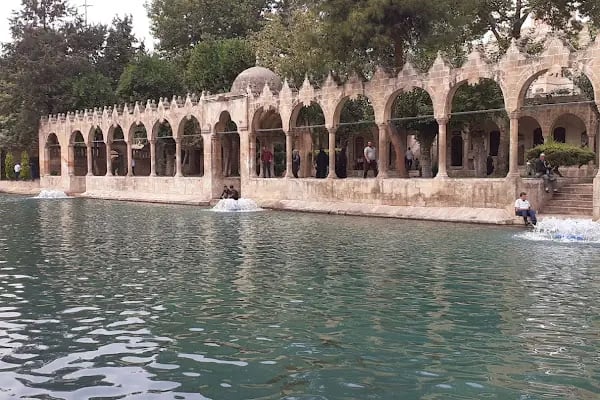 Ayn Zeliha Gölü Aile Çay Bahçesi - Resim 16