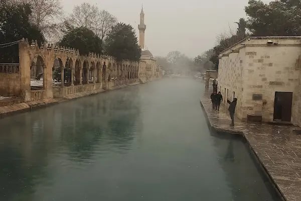 Ayn Zeliha Gölü Aile Çay Bahçesi - Resim 13