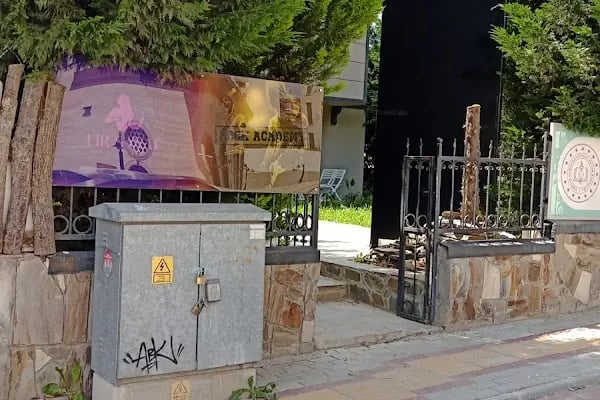 Lir Sanat Akademi - Resim 2
