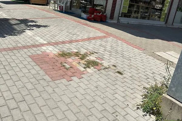 Alanya Görücü Telefon - Resim 5