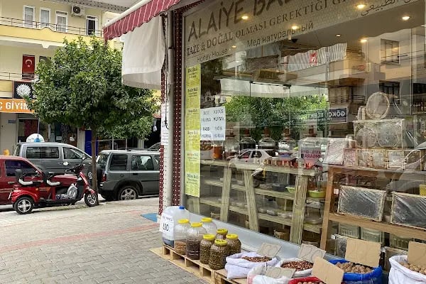 Alanya Görücü Telefon - Resim 1