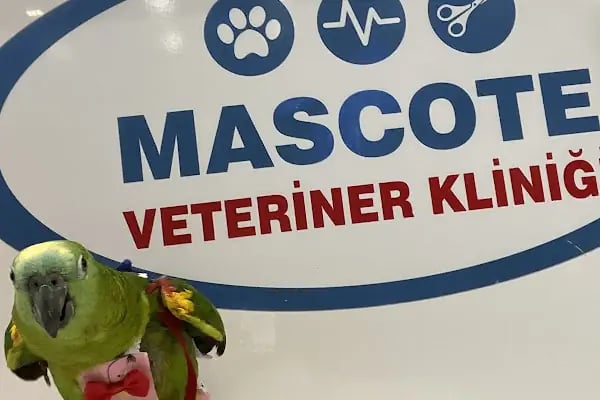 Mascote Veteriner Bornova - Resim 13
