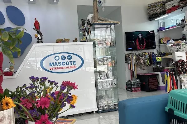 Mascote Veteriner Bornova - Resim 3