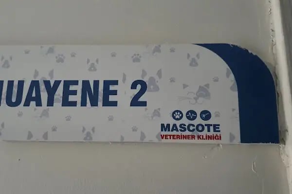 Mascote Veteriner Bornova - Resim 14