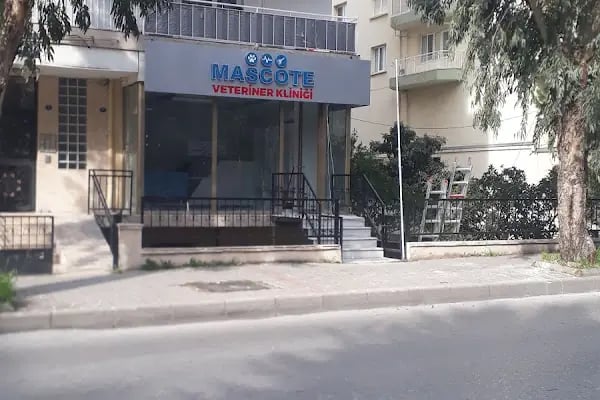 Mascote Veteriner Bornova - Resim 15
