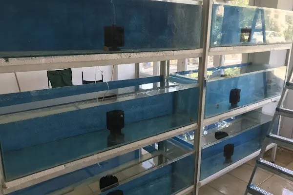 Bergama Samsung Televizyon Ve Beyaz Eşya Yetkili Servis Ertik Soğutma - Resim 2