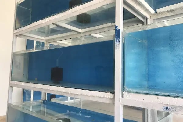 Bergama Samsung Televizyon Ve Beyaz Eşya Yetkili Servis Ertik Soğutma - Resim 11