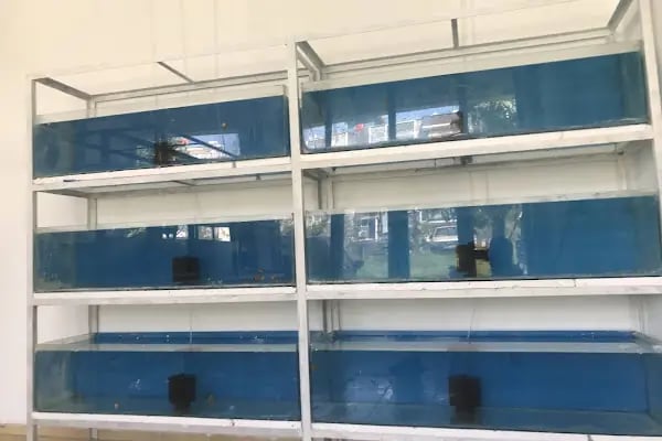 Bergama Samsung Televizyon Ve Beyaz Eşya Yetkili Servis Ertik Soğutma - Resim 6