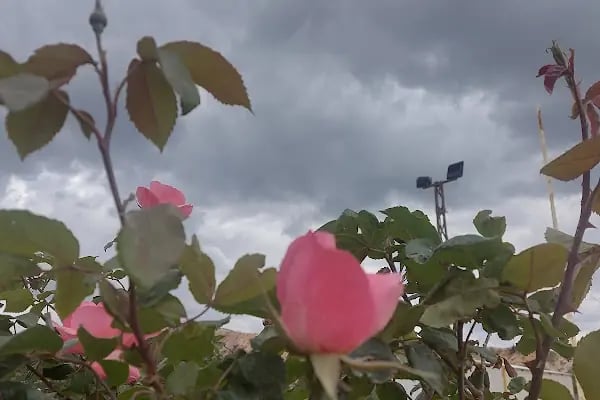 Sof Dağı Milli Parkı - Resim 18