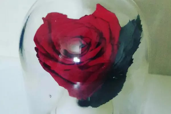Çiçekgönder - Resim 2