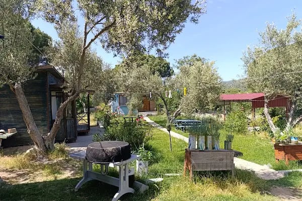 kozak köyüm Cafe - Resim 1