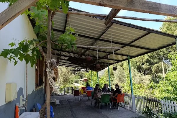 kozak köyüm Cafe - Resim 6