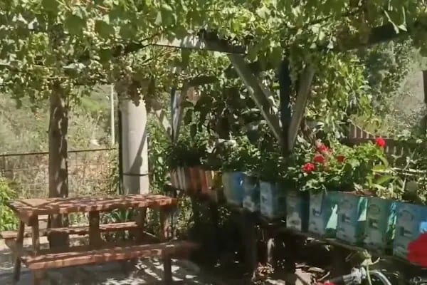 kozak köyüm Cafe - Resim 7