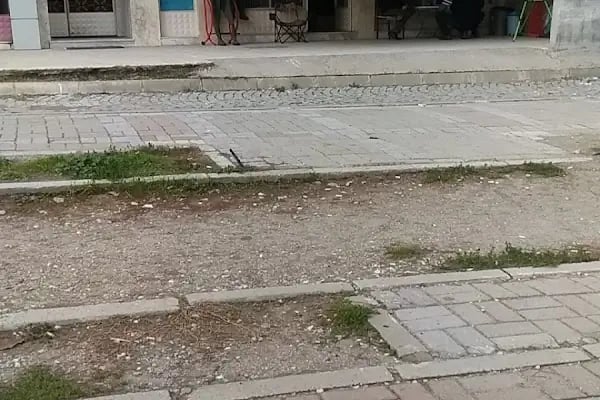 Elit Balık av malzemeleri - Resim 10