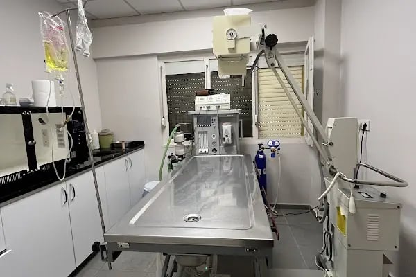 Güneş Veteriner Kliniği - Resim 6