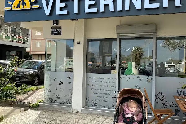 Güneş Veteriner Kliniği - Resim 12