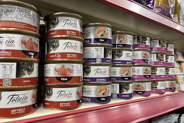 HIÇKIDIK PETSHOP AKVARYUM İZMİT - Resim 8