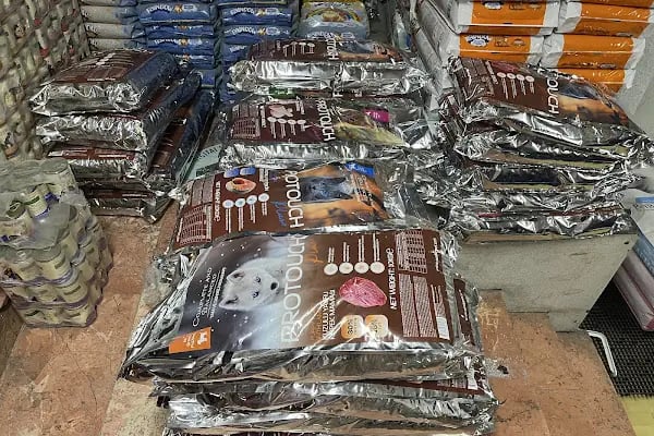 HIÇKIDIK PETSHOP AKVARYUM İZMİT - Resim 2
