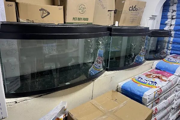 HIÇKIDIK PETSHOP AKVARYUM İZMİT - Resim 17