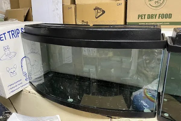 HIÇKIDIK PETSHOP AKVARYUM İZMİT - Resim 14