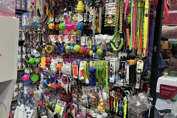 HIÇKIDIK PETSHOP AKVARYUM İZMİT - Resim 19