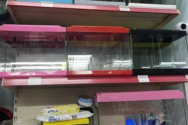 HIÇKIDIK PETSHOP AKVARYUM İZMİT - Resim 11