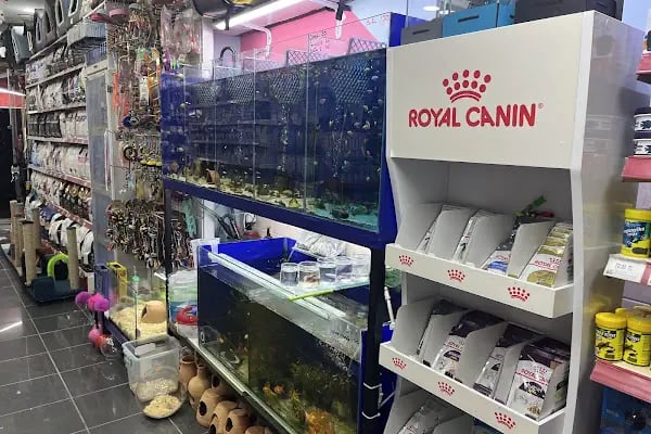 HIÇKIDIK PETSHOP AKVARYUM İZMİT - Resim 4
